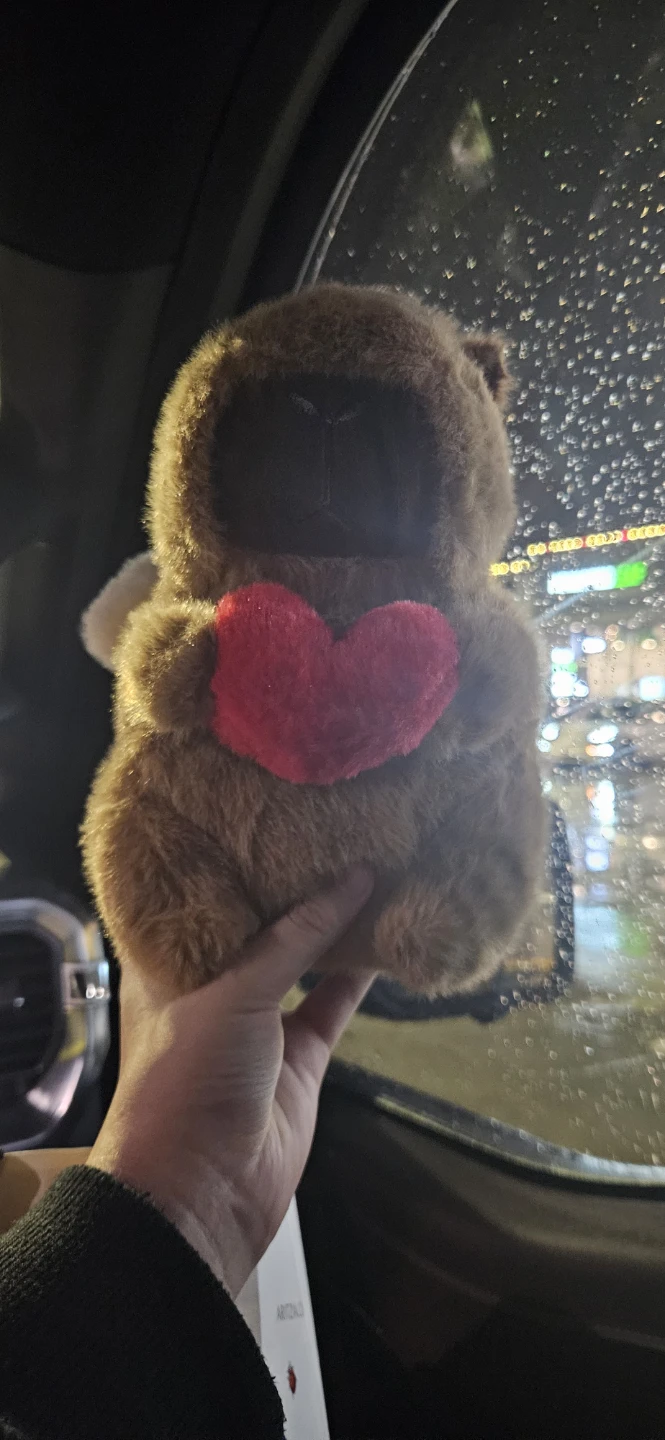 Cute Plush Angel capybara with Heart