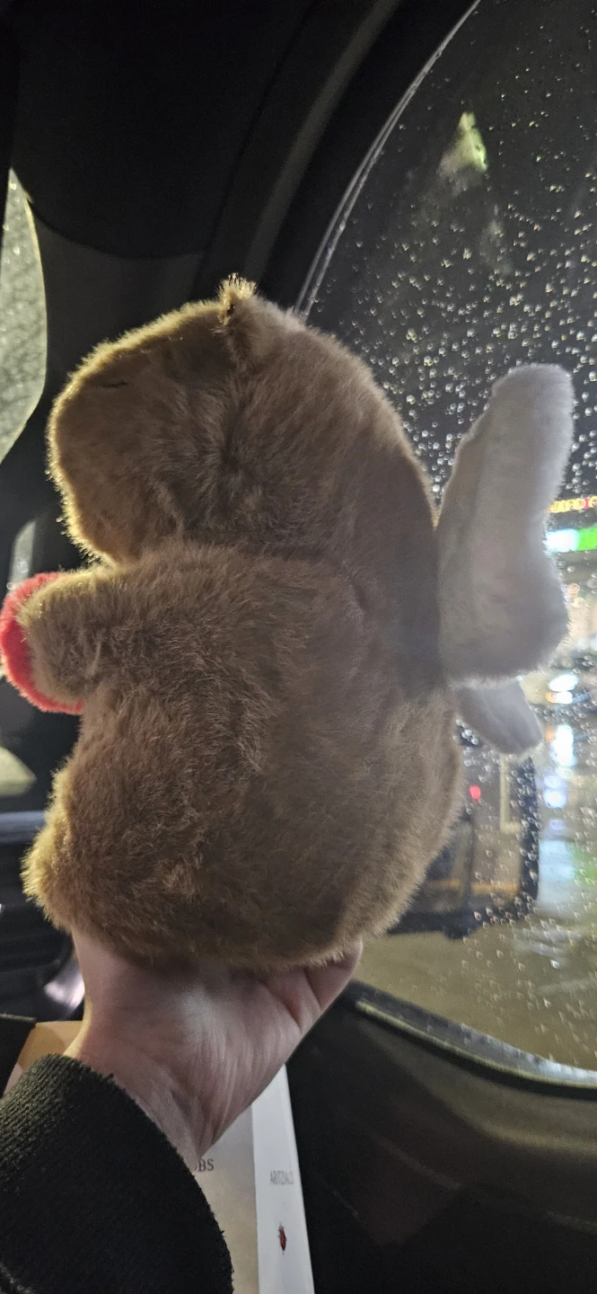 Cute Plush Angel capybara with Heart - photo 2