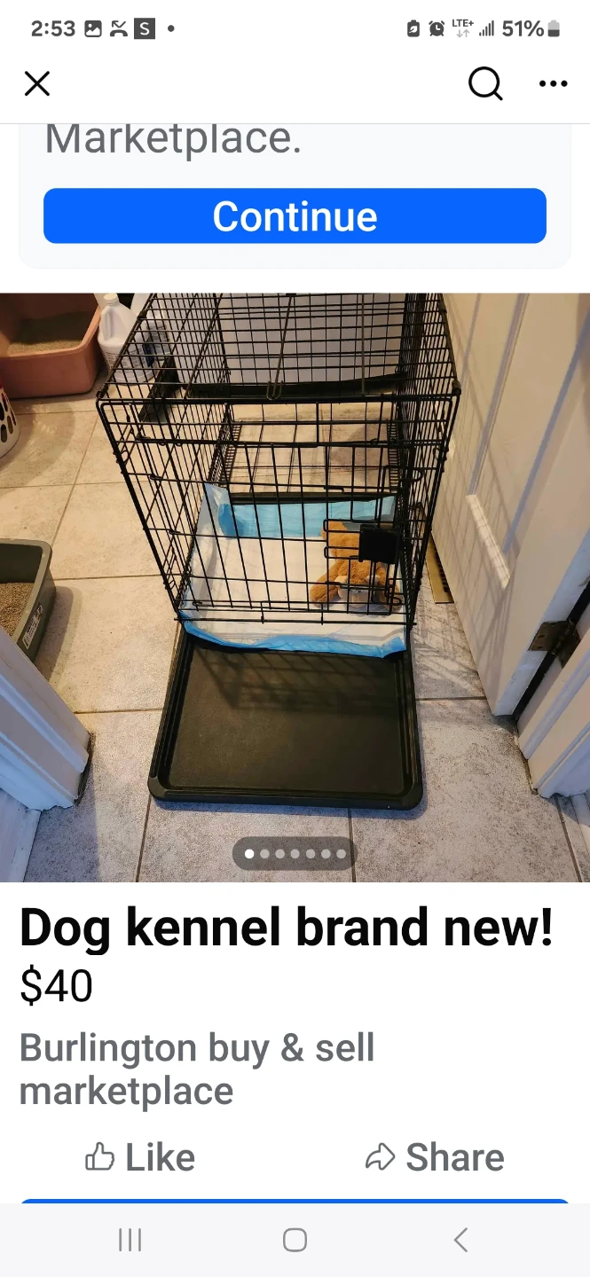 Brand New Dog Kennel - photo 5