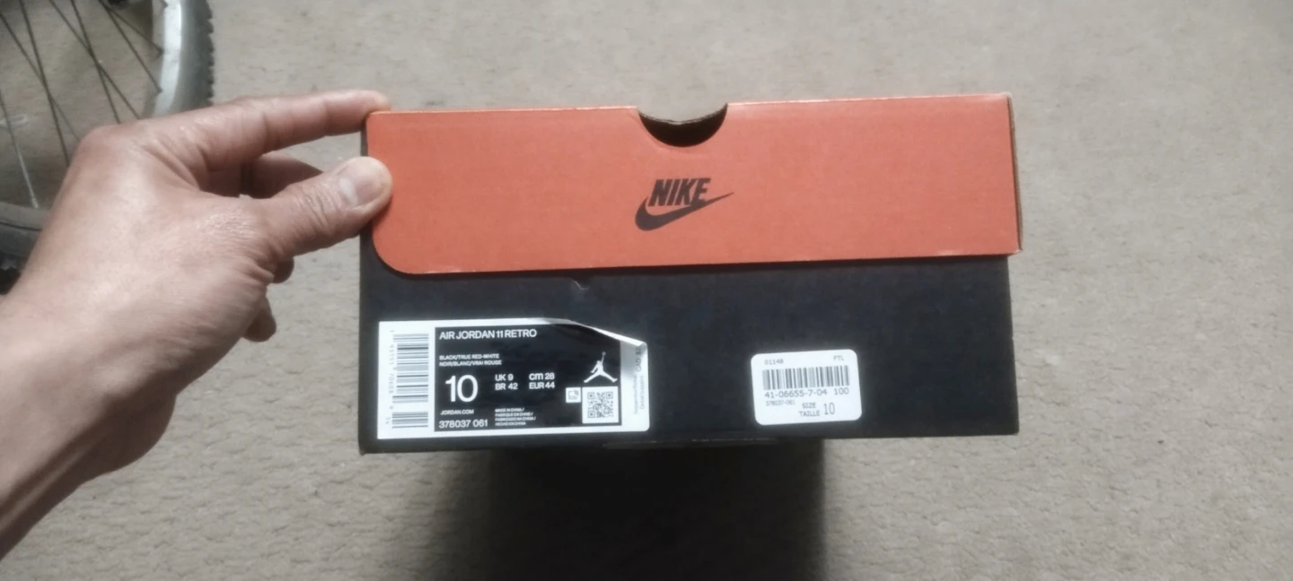 Nike Air Jordan 11 Retro (Size 10)