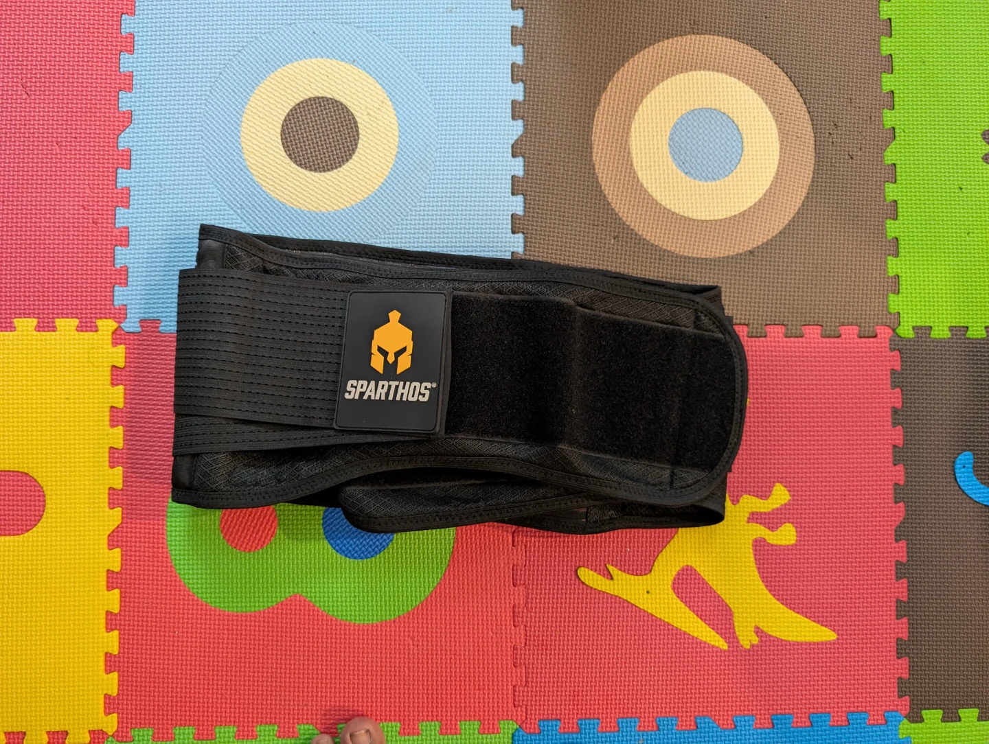 Sparthos Back Support Belt