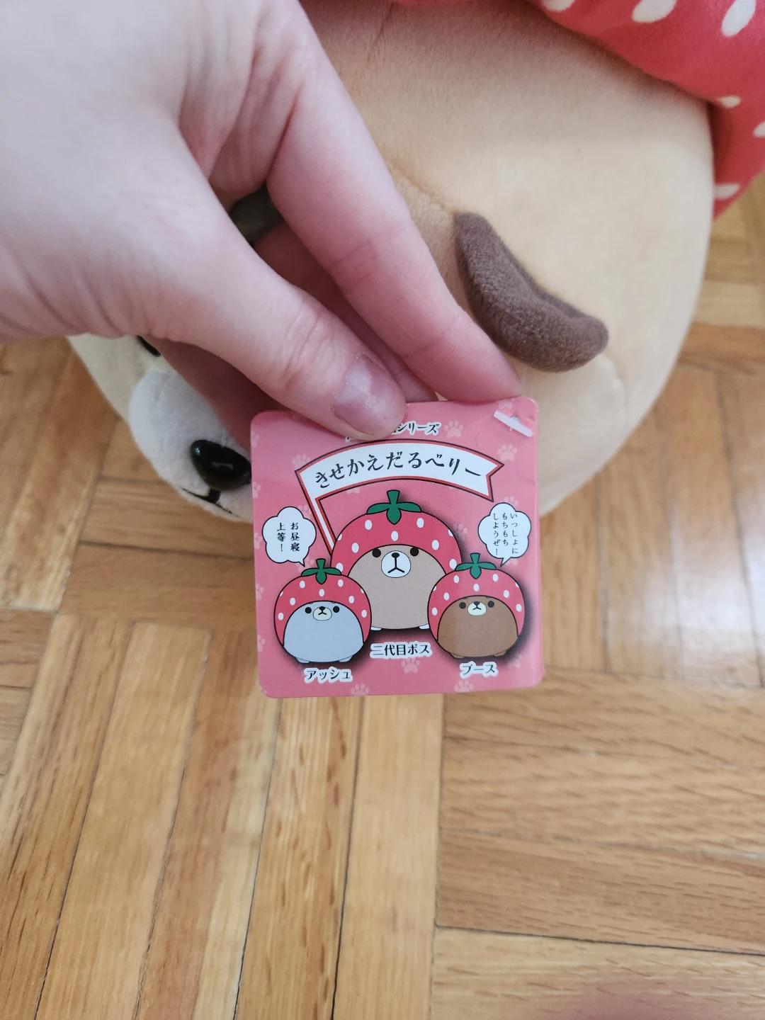 Strawberry Hat Bear Plush NWT - photo 4