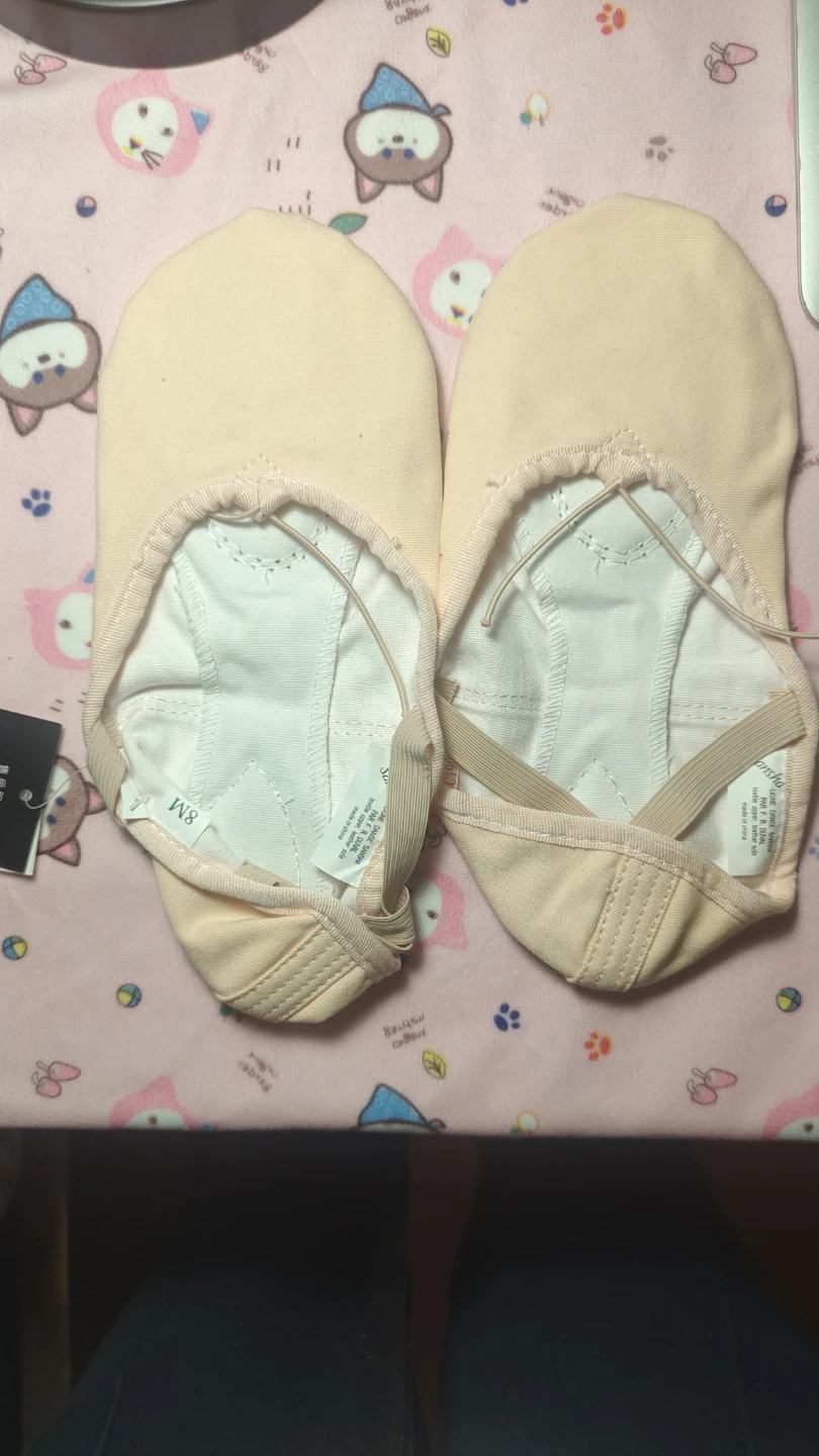 Sansha Model 58 Ballet Shoes, Size 8M