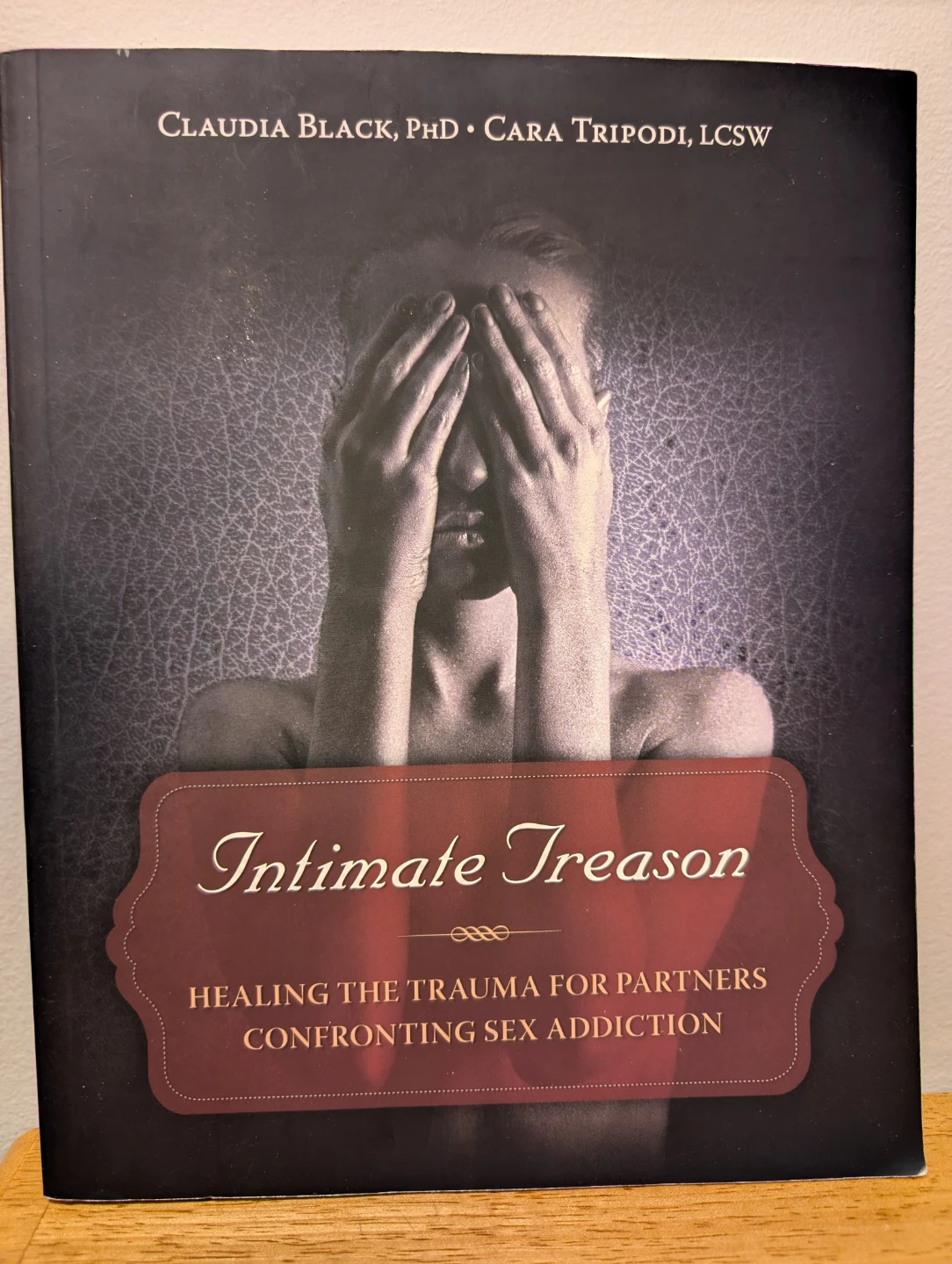 Intimate Treason: Healing Trauma Book