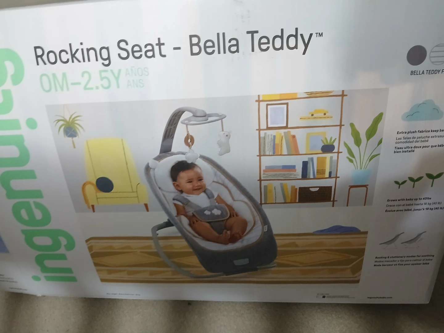 Ingenuity Rocking Seat - Bella Teddy