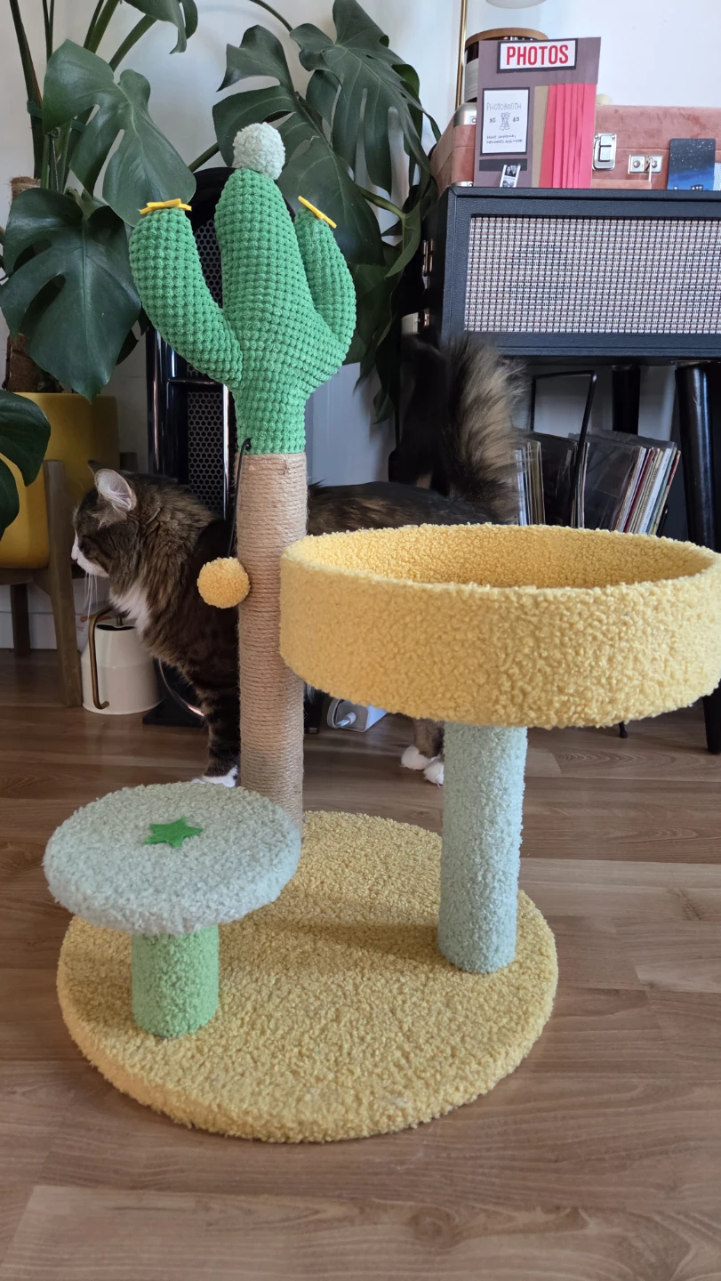 🥕 Small cat tower