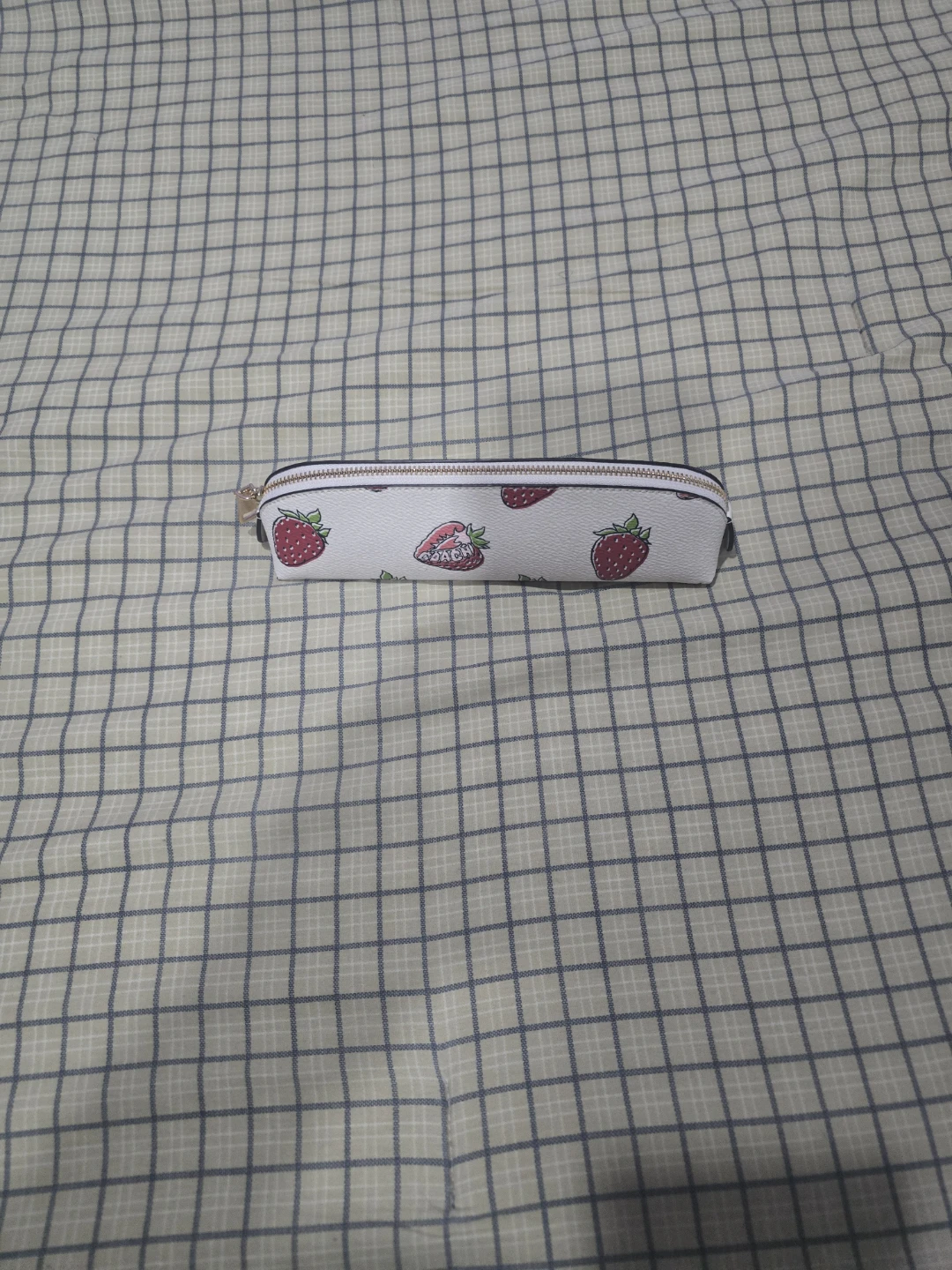 Coach Strawberry Print Pencil Case