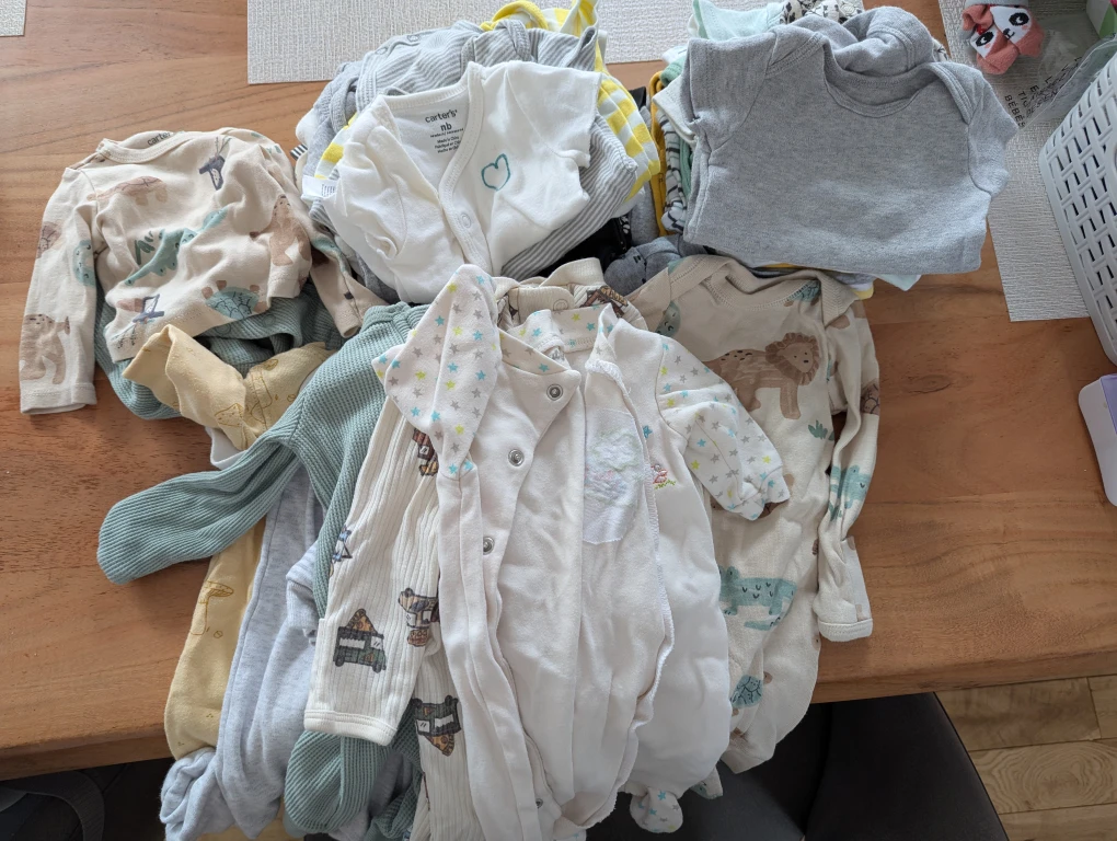 Carter's Newborn Boy Baby Clothes Bundle - 30 pieces