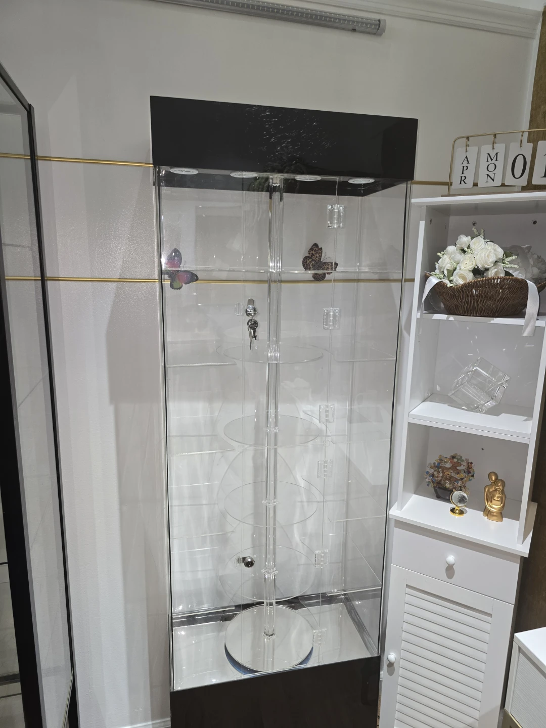 Tall Glass Display Cabinet