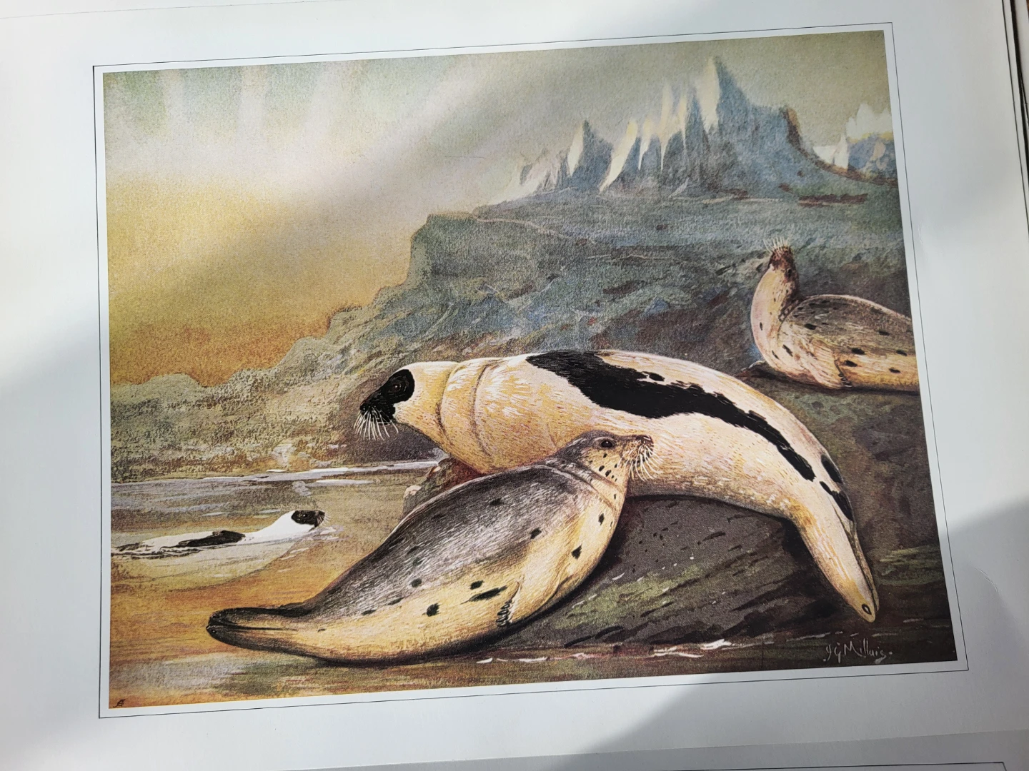 Masterwork of Animal Art - photo 4