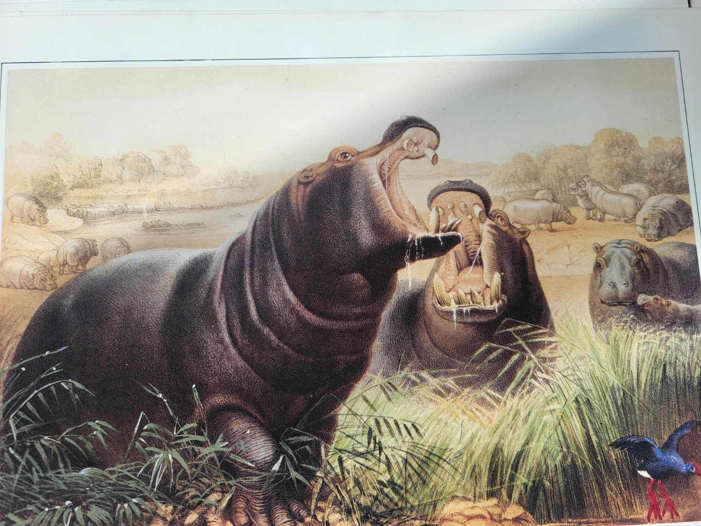Masterwork of Animal Art - photo 5