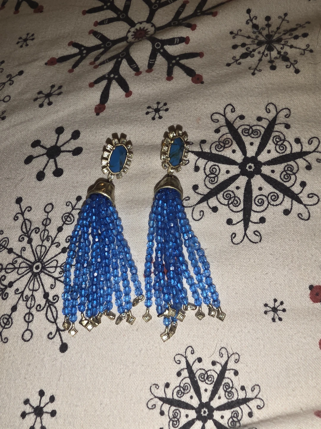 Blue Tassel Earrings 🥕