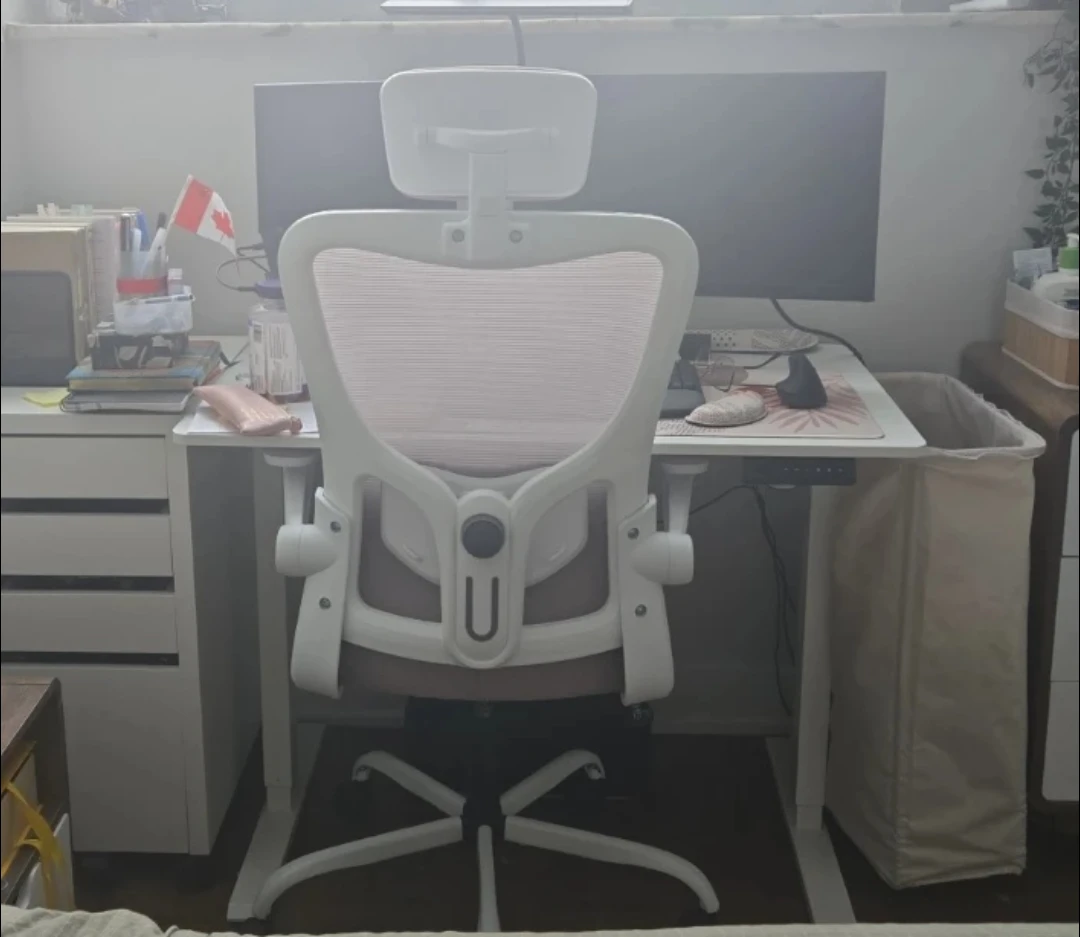 Flexispot OC1 Ergonomic Chair with Headrest - photo 3