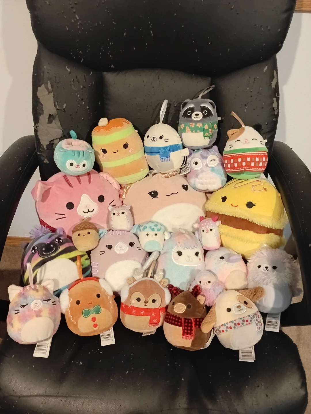Squishmallows Plush Assorted Lot