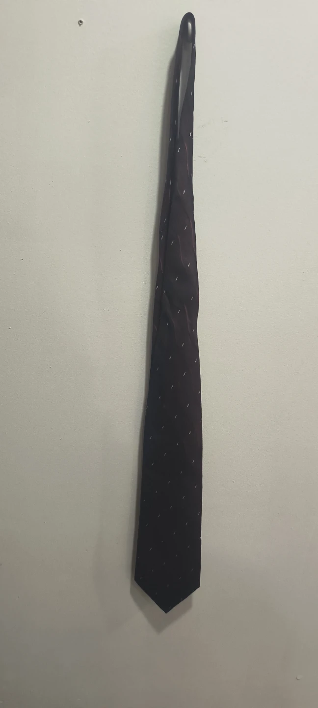 Echinos Men's Tie