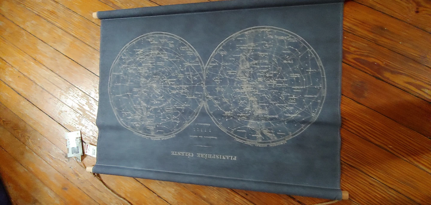 Celestial Map Wall Art🥕