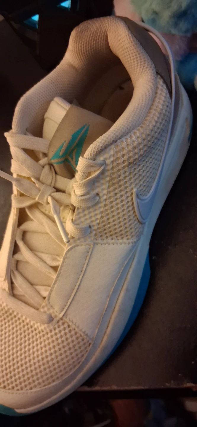 Nike Kobe Mamba Fury Basketball Shoes