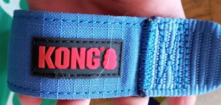 KONG Blue Dog Collar