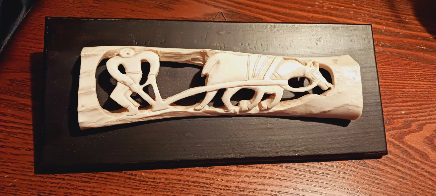 Unique Vintage Carved Bone Wall Art - photo 3