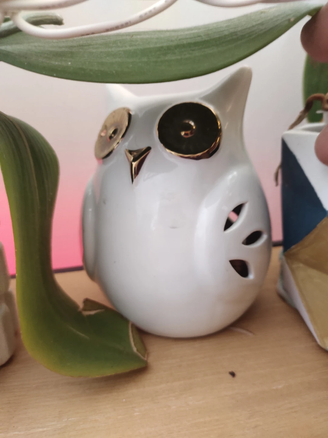 White Ceramic Owl Decoration