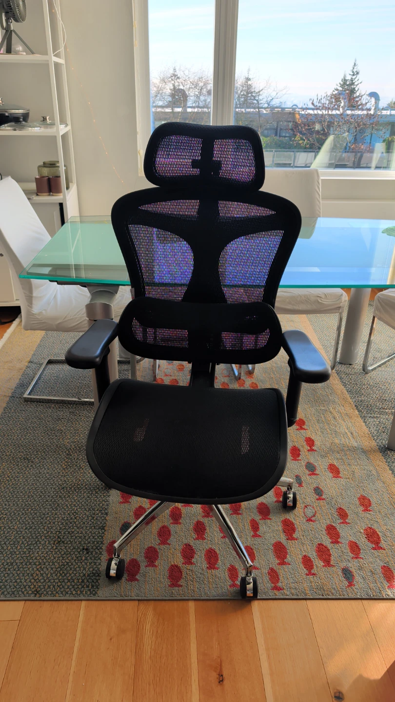 Ergonomic Mesh Office Chair SIHOO