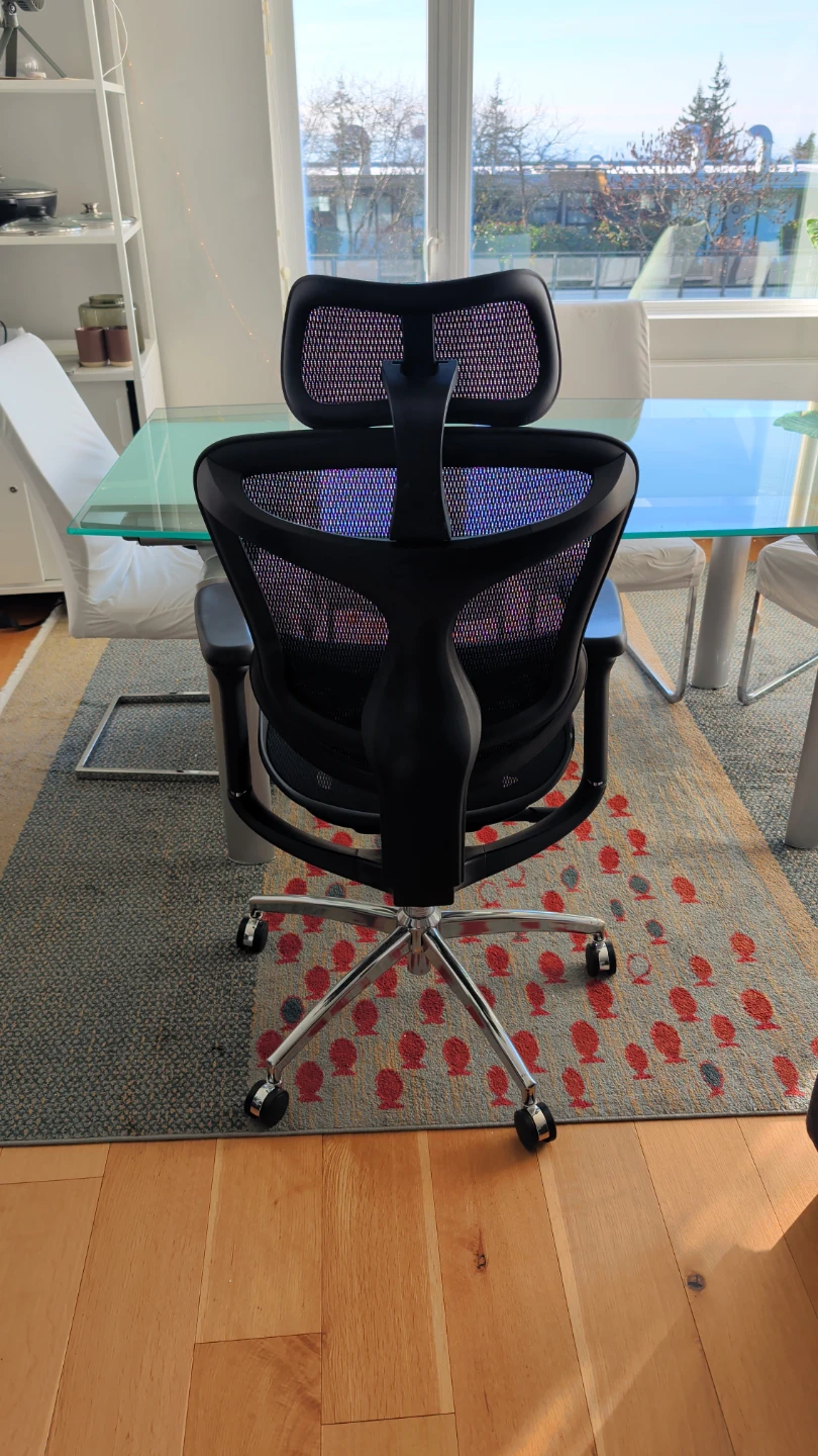 Ergonomic Mesh Office Chair SIHOO - photo 3