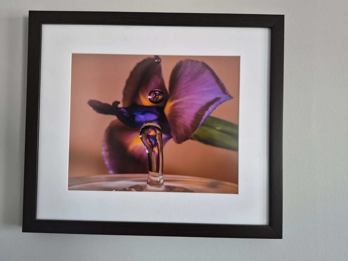 Framed Fine Art Photograph of Water Droplet on Iris - photo 2