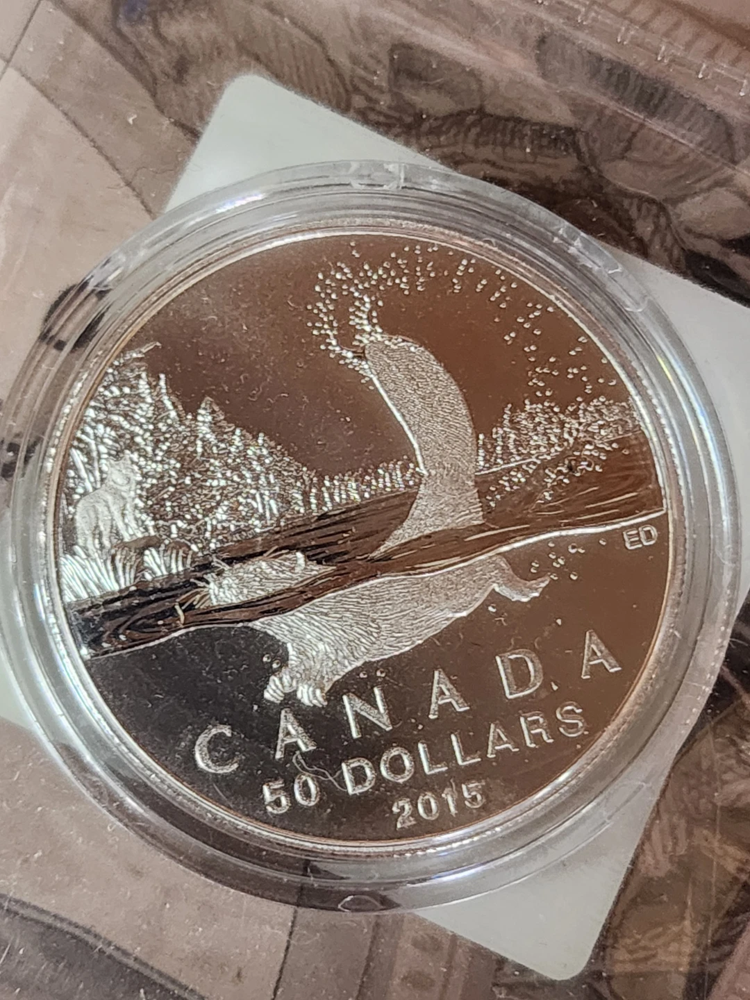 2015 $50 Fine Silver Coin - Swimming Beaver - photo 3
