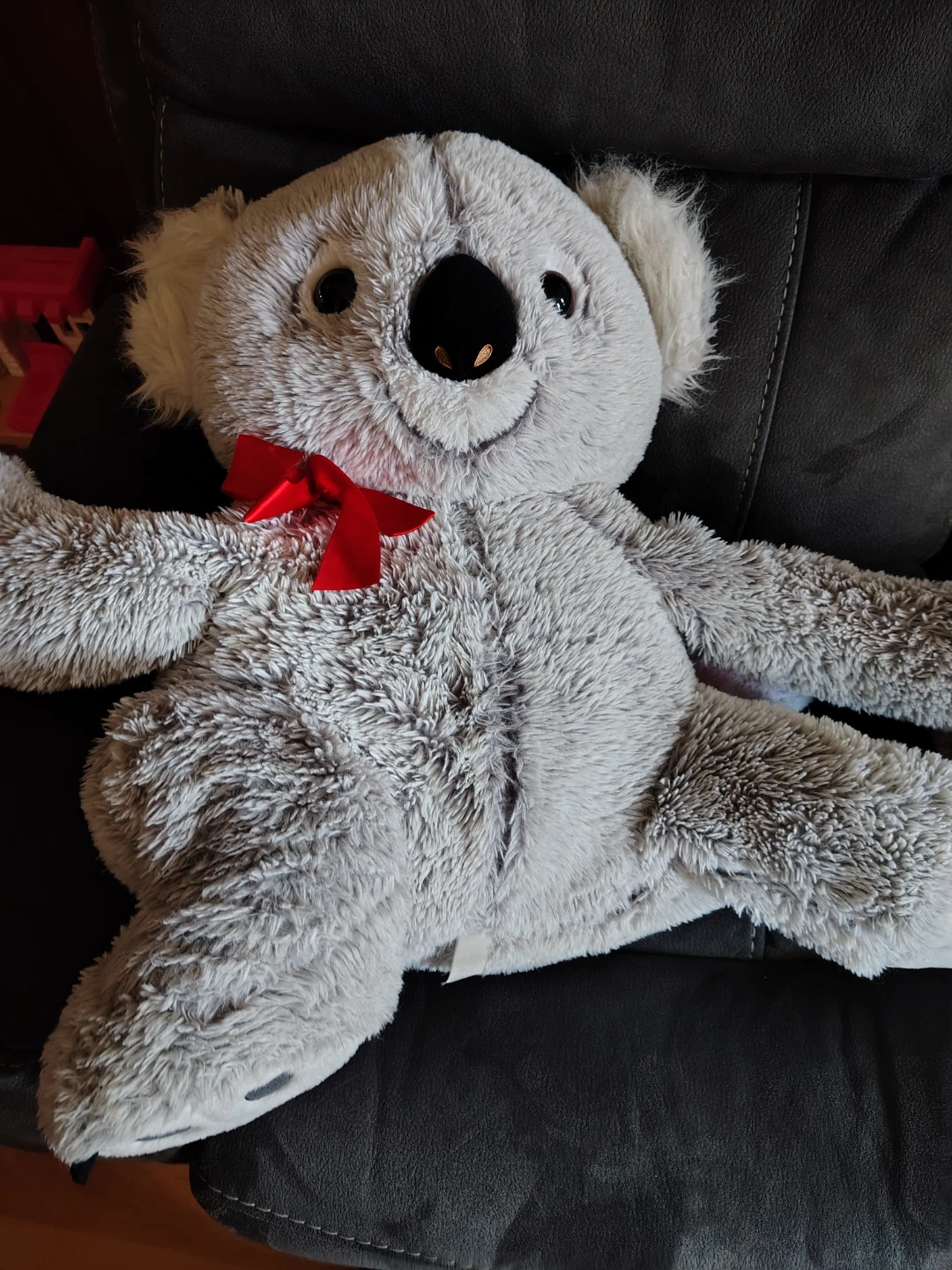 Small Koala