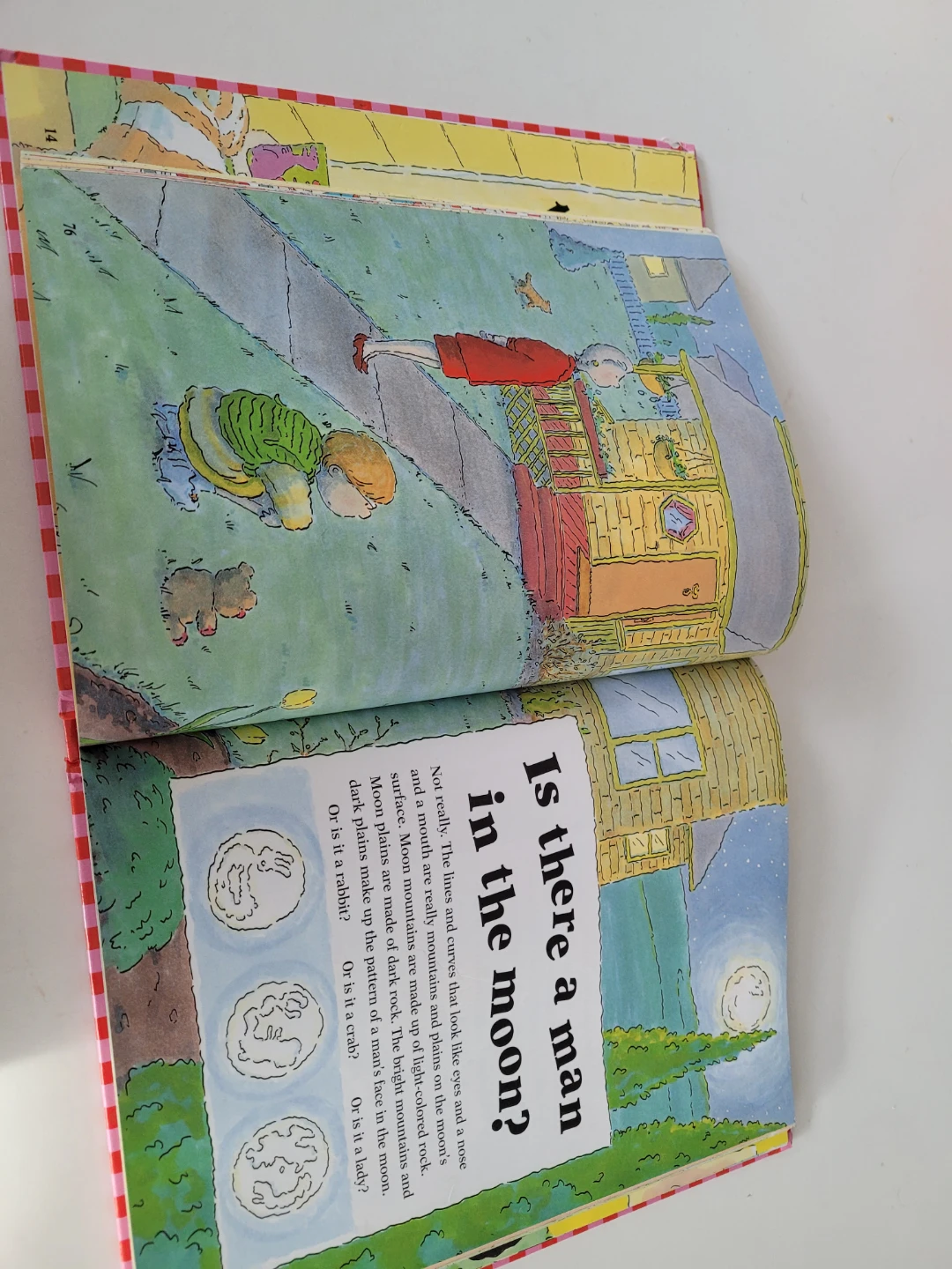 Why? The best ever question - photo 3