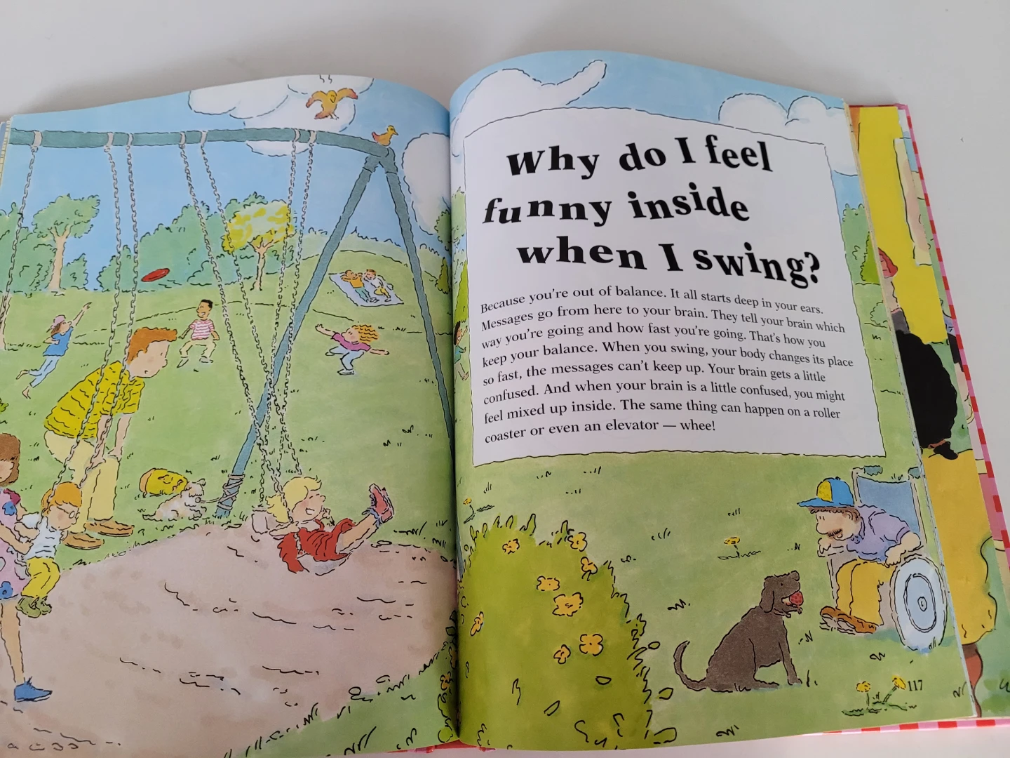 Why? The best ever question - photo 4