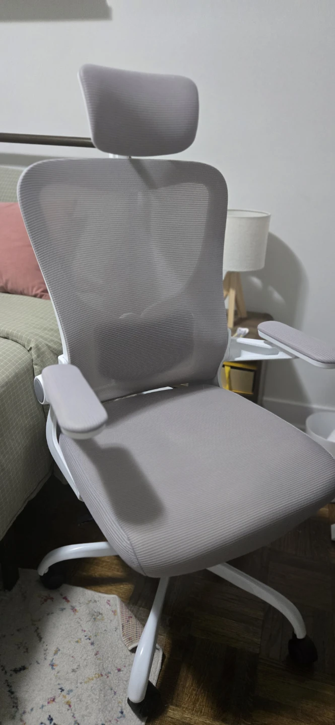 Flexispot OC1 Ergonomic Chair with Headrest