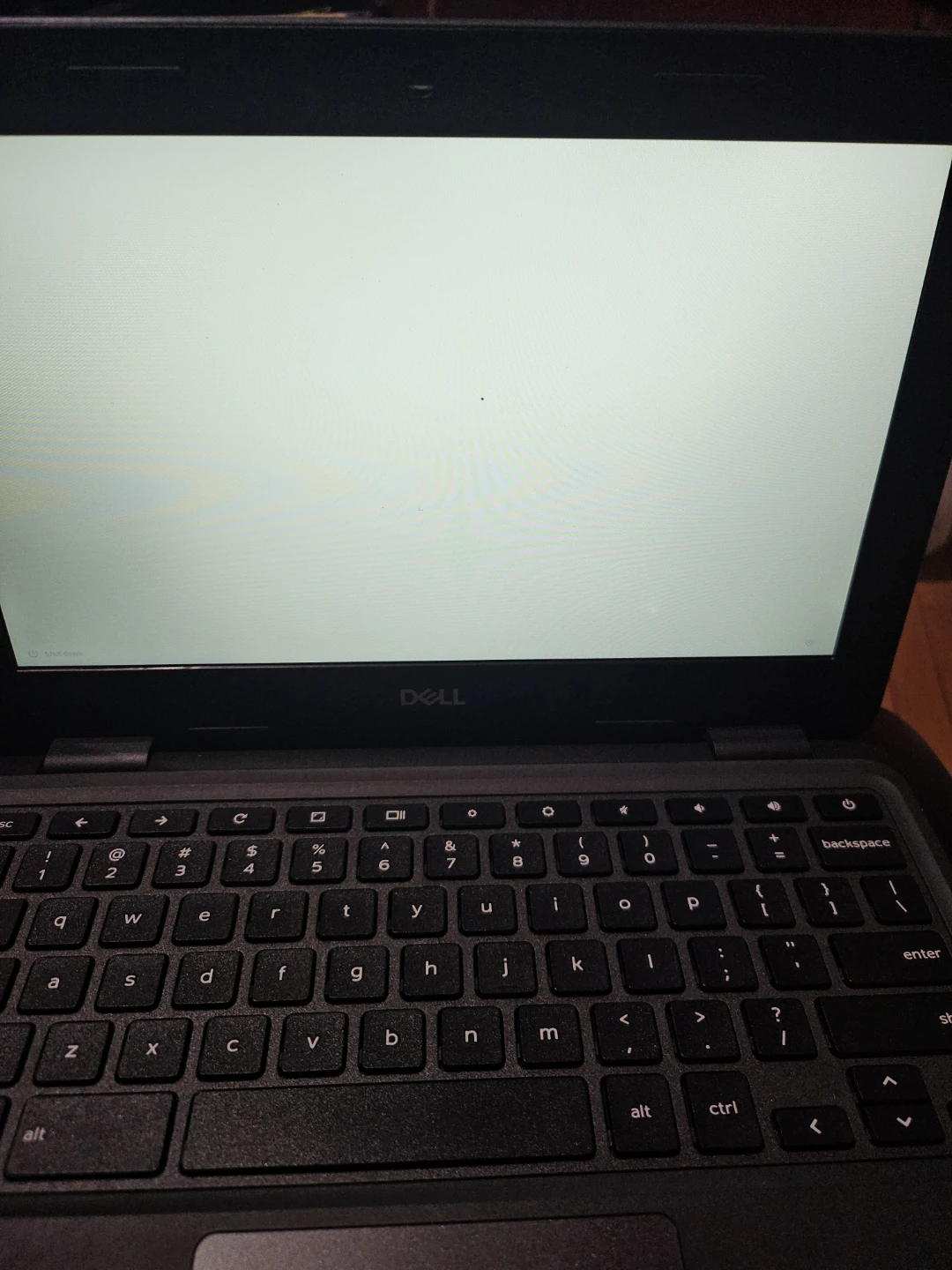 Dell Chromebook 3100 (WiFi) - Black - photo 3