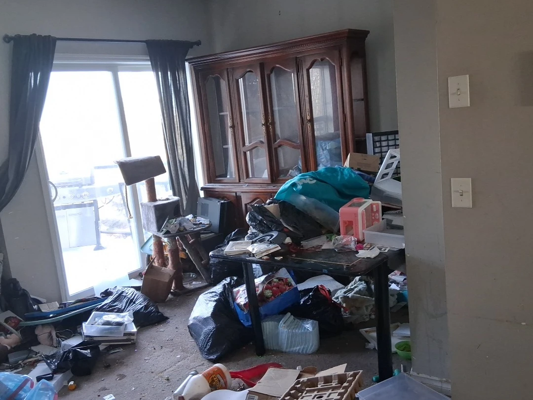 Affordable price junk removal service - photo 3