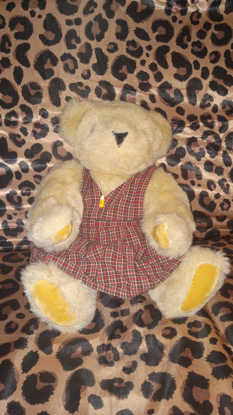 Vintage Teddy Bear