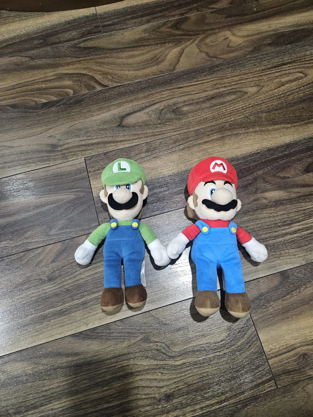 Mario & Luigi Plush Set