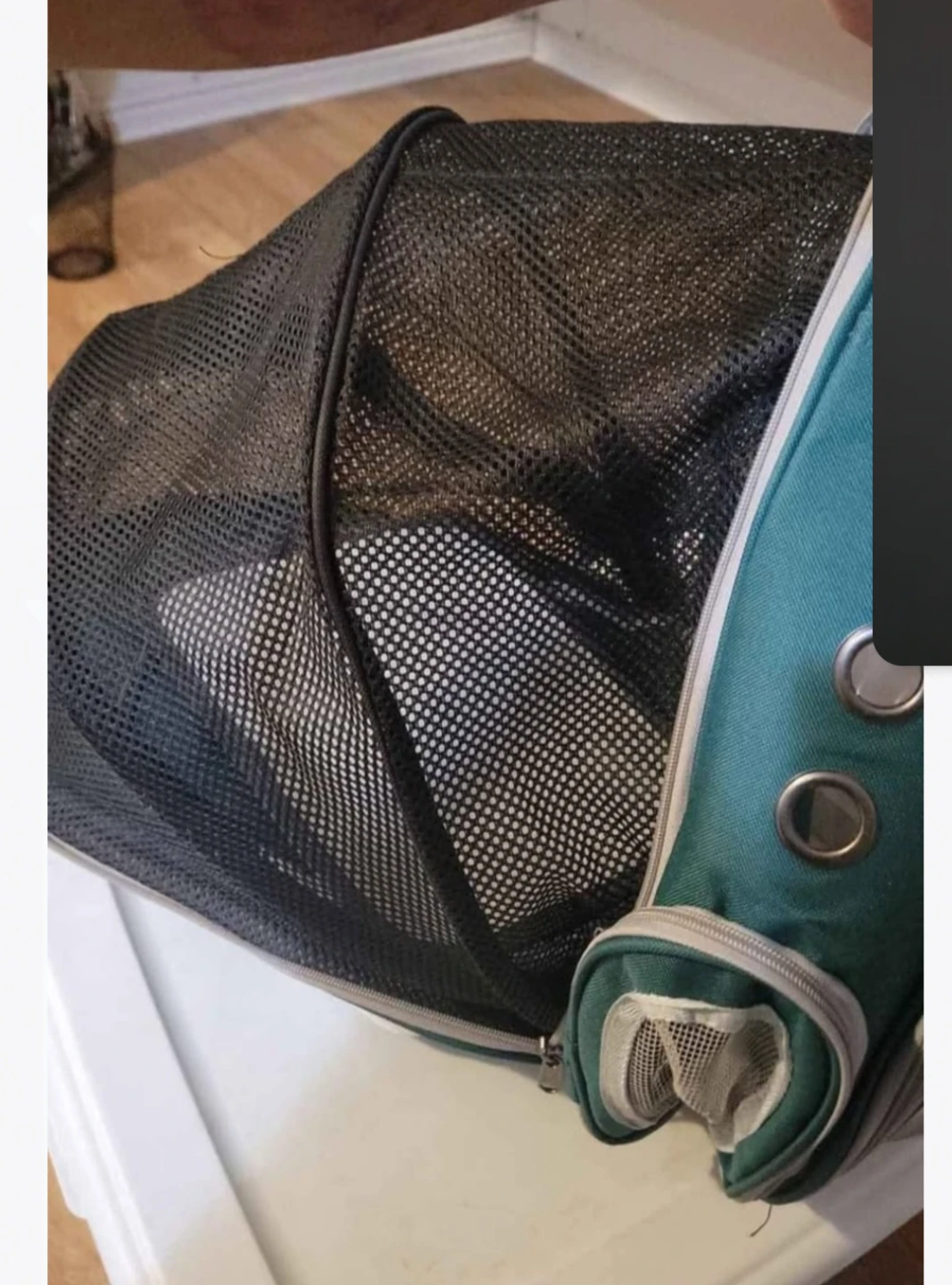 Pet Carrier Backpack - Green - photo 2