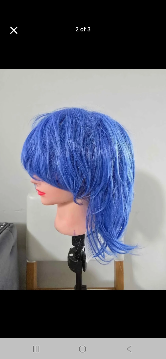Assorted Wigs - photo 5