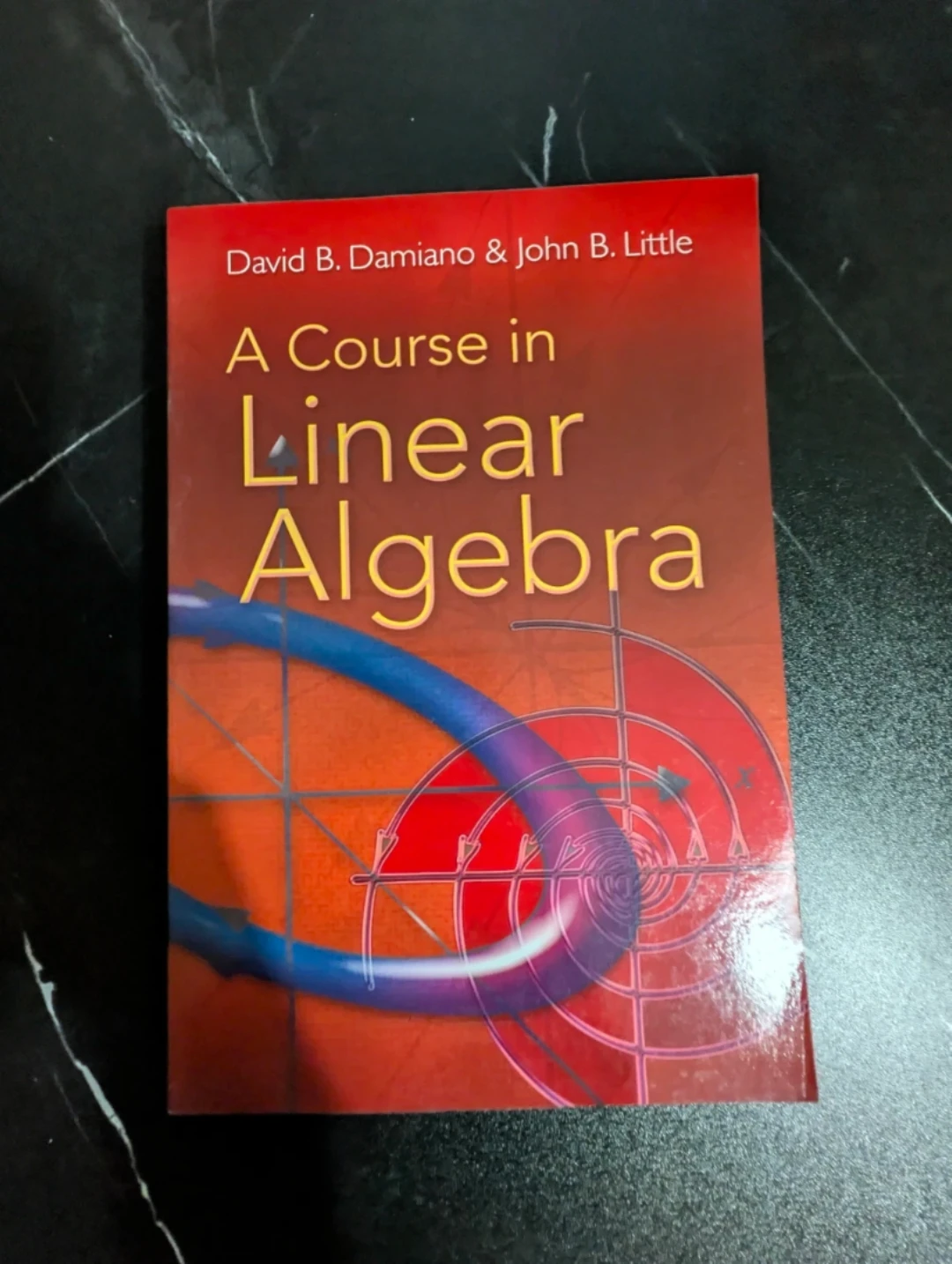A Course in Linear Algebra by Damiano & Little