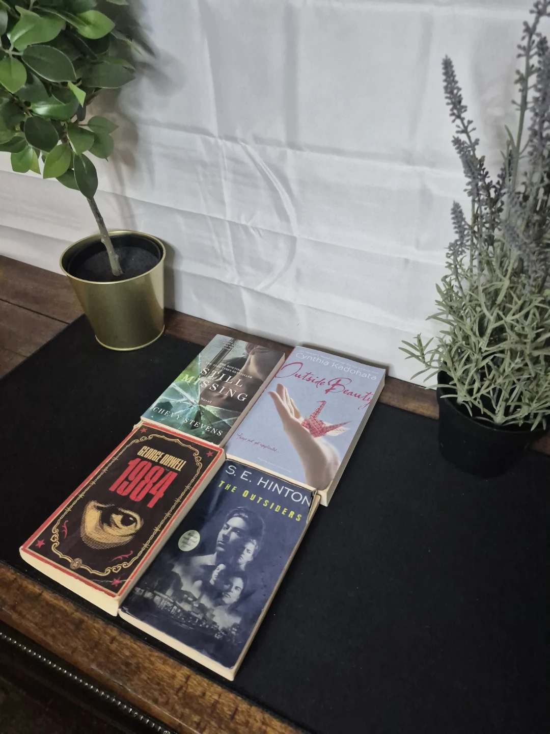 Collection of 4 Novels: 5 $
