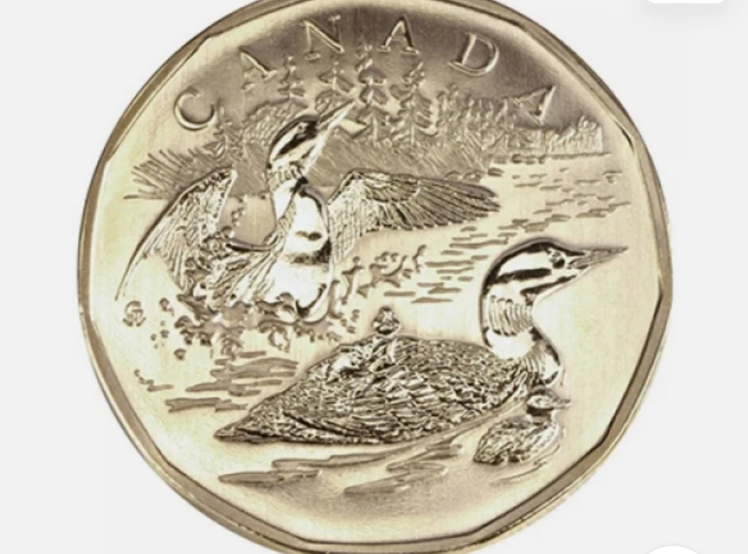 2002 Canada Specimen Set - 15th Anniversary of the Loon Dollar - photo 2