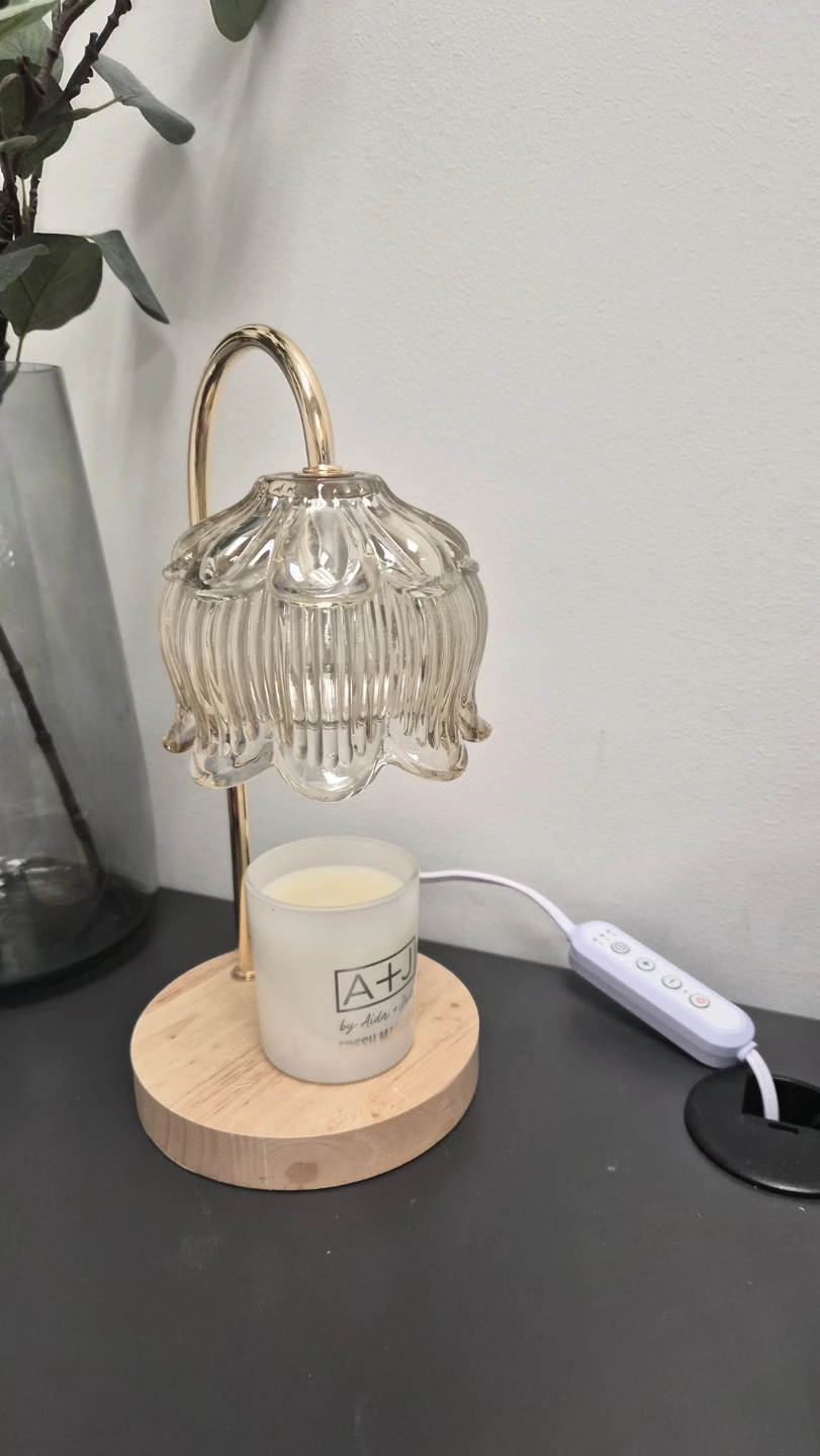 Candle warmer and Jade Fresh Magnolia Candle