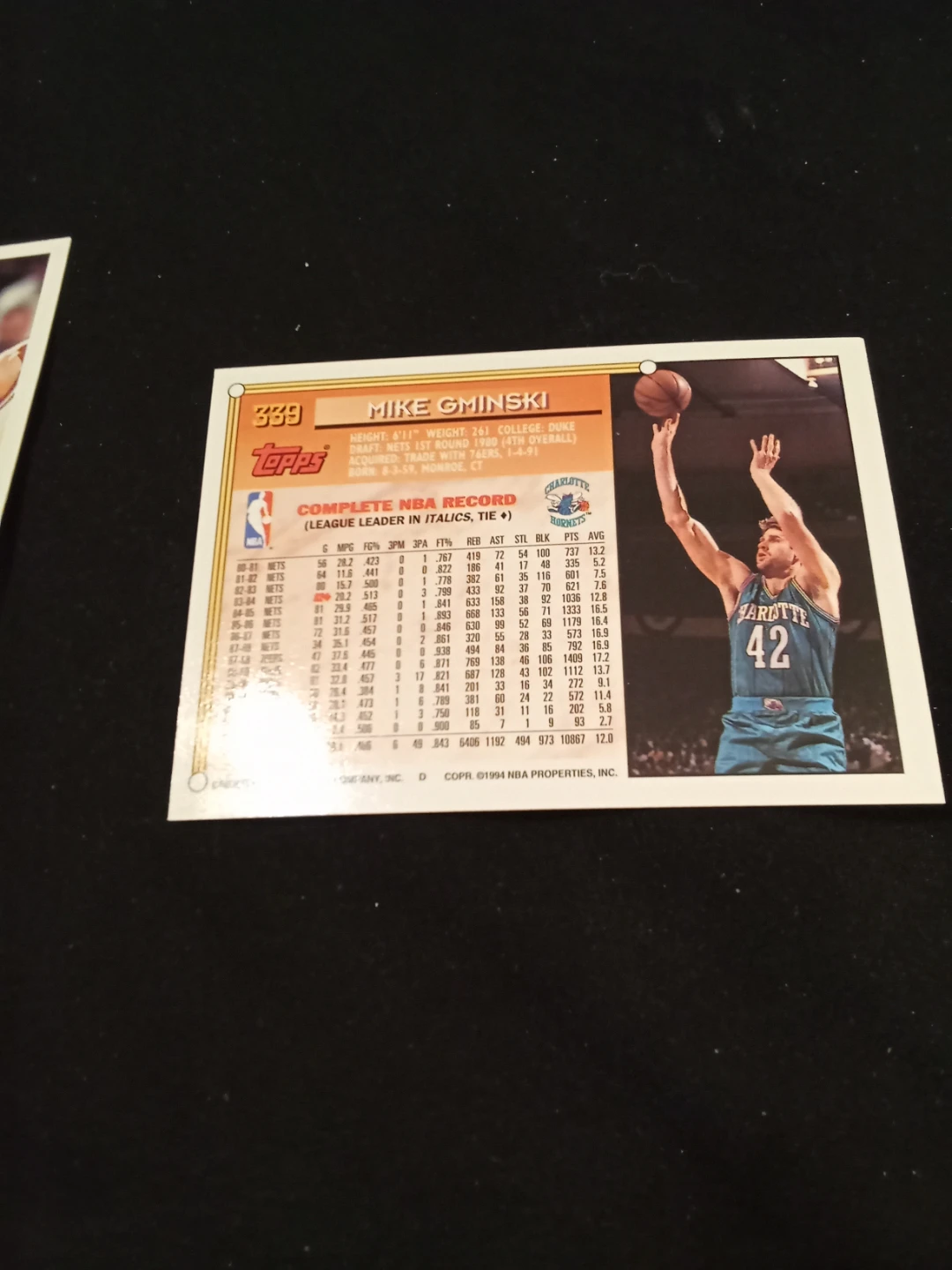 Topps 1994 NBA Basketball Cards - Glen Rice & Mike Gminski - photo 4
