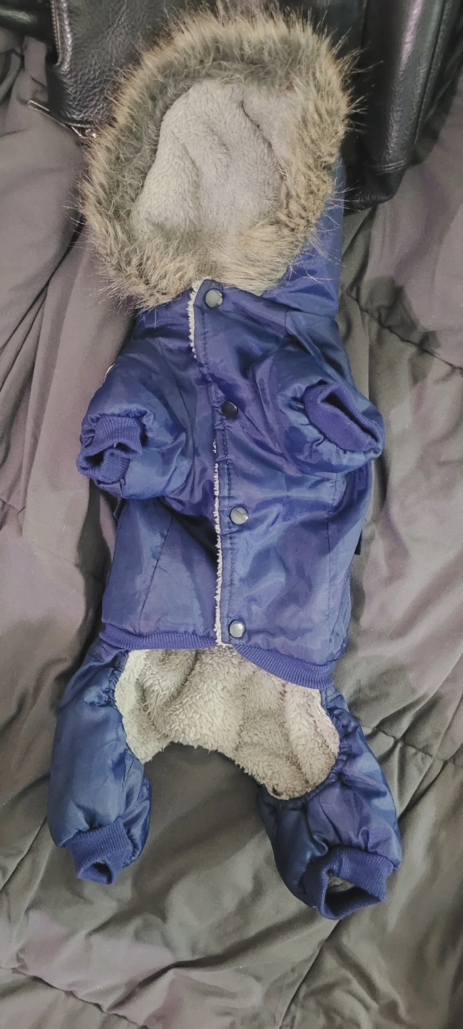 Blue hooded dog winter jacket and dog sweaters - photo 4