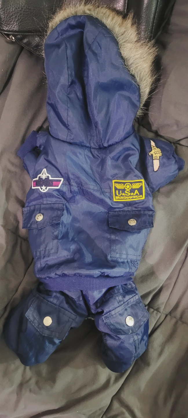 Blue hooded dog winter jacket and dog sweaters - photo 5