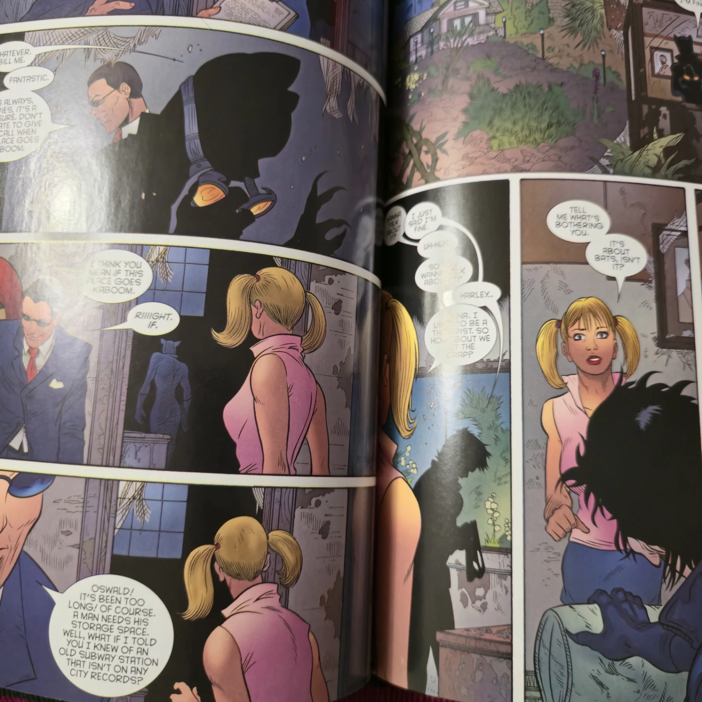 Gotham City Sirens Book Two - photo 4