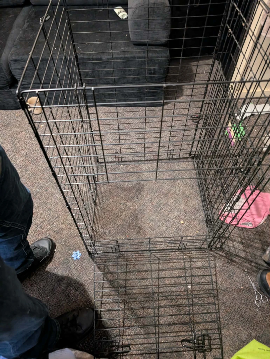 MidWest Homes for Pets A1536DD Crate