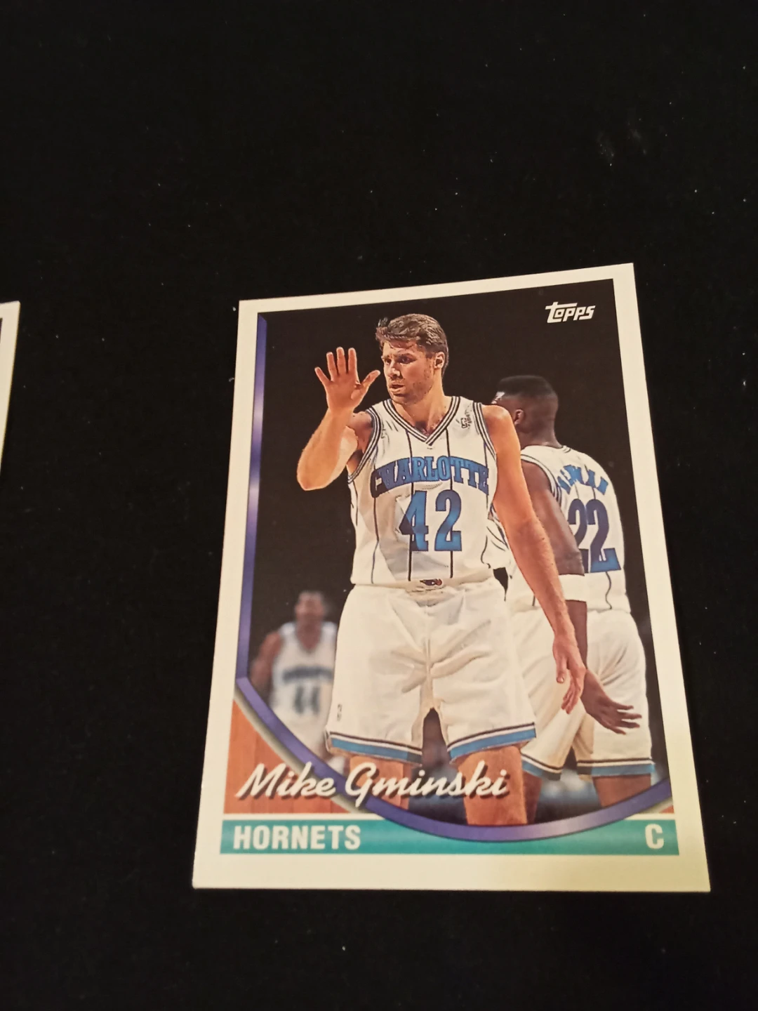 Topps 1994 NBA Basketball Cards - Glen Rice & Mike Gminski - photo 5