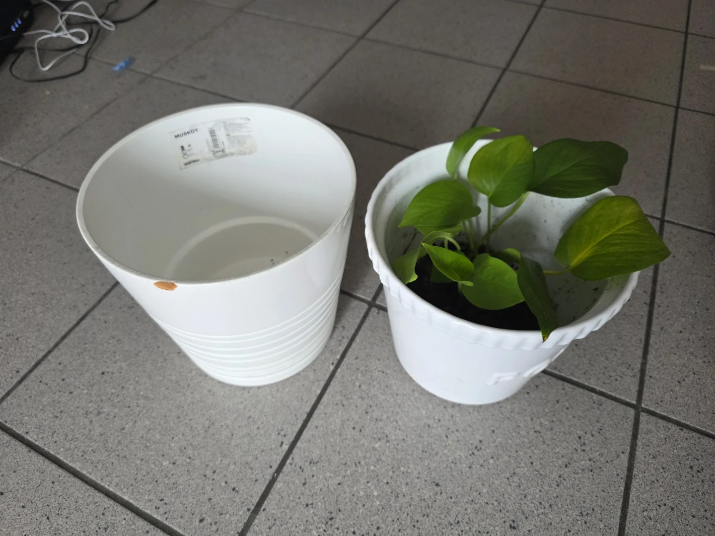 IKEA MUSKOT & Plant Pot