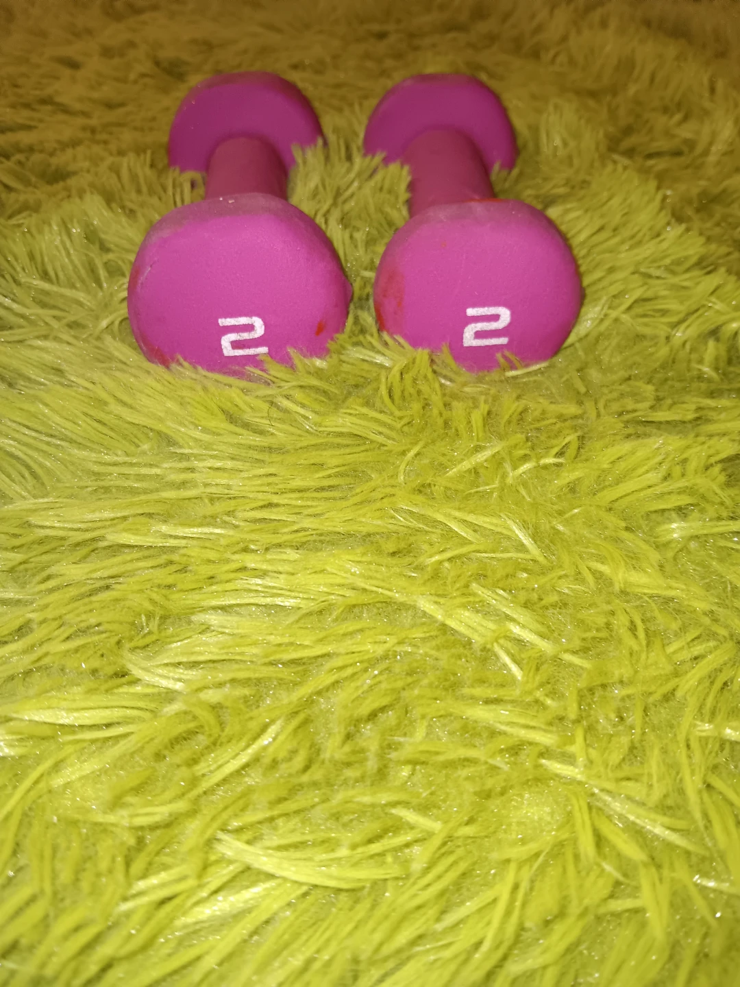 2 lb Pink Dumbbells (Pair)